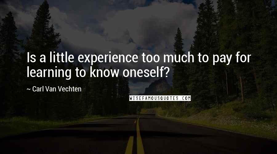 Carl Van Vechten Quotes: Is a little experience too much to pay for learning to know oneself?