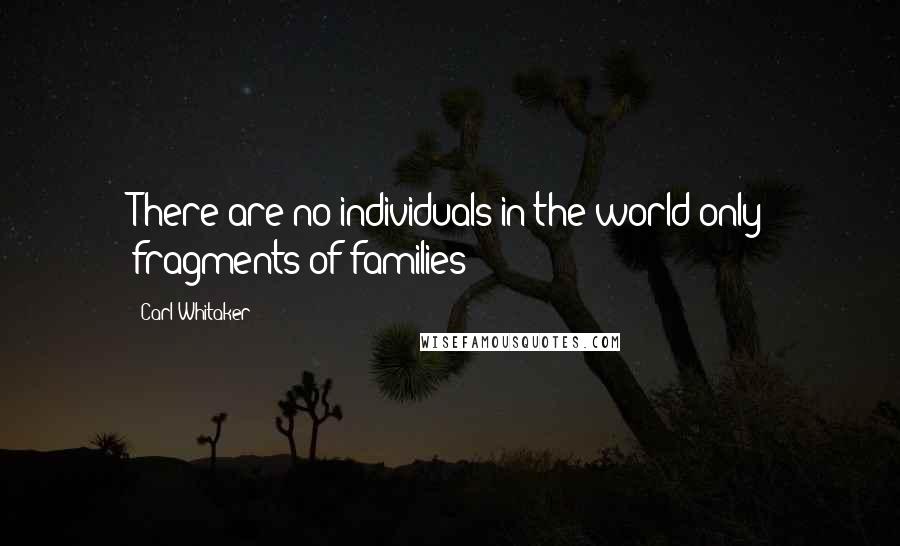 Carl Whitaker Quotes: There are no individuals in the world only fragments of families