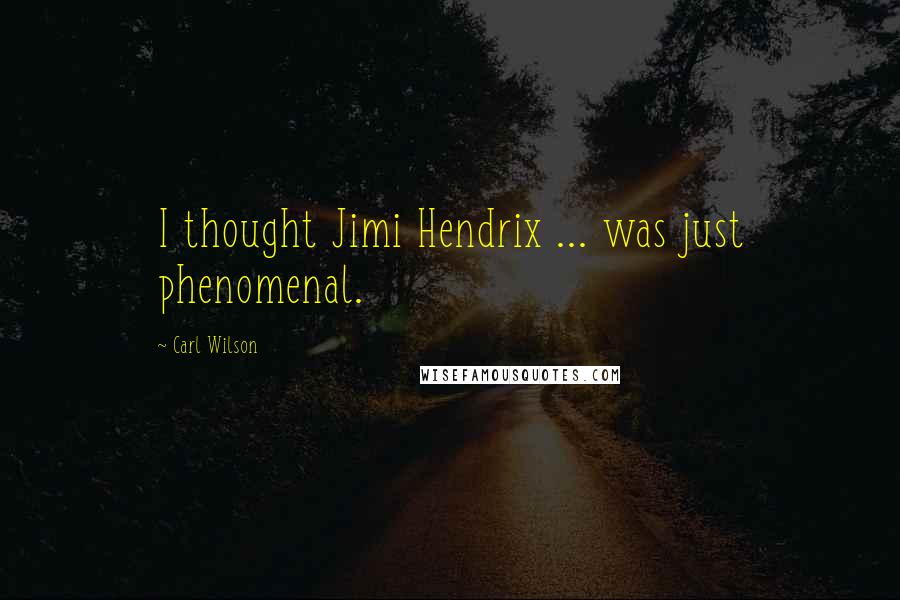 Carl Wilson Quotes: I thought Jimi Hendrix ... was just phenomenal.