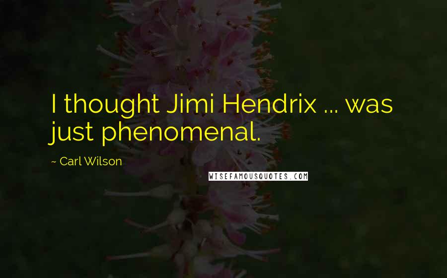 Carl Wilson Quotes: I thought Jimi Hendrix ... was just phenomenal.