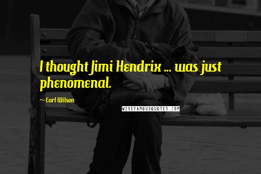 Carl Wilson Quotes: I thought Jimi Hendrix ... was just phenomenal.