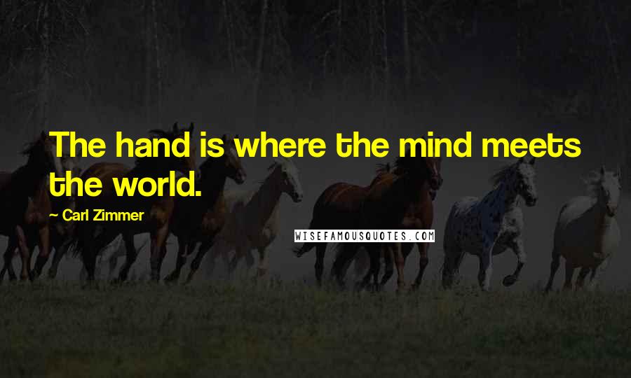 Carl Zimmer Quotes: The hand is where the mind meets the world.