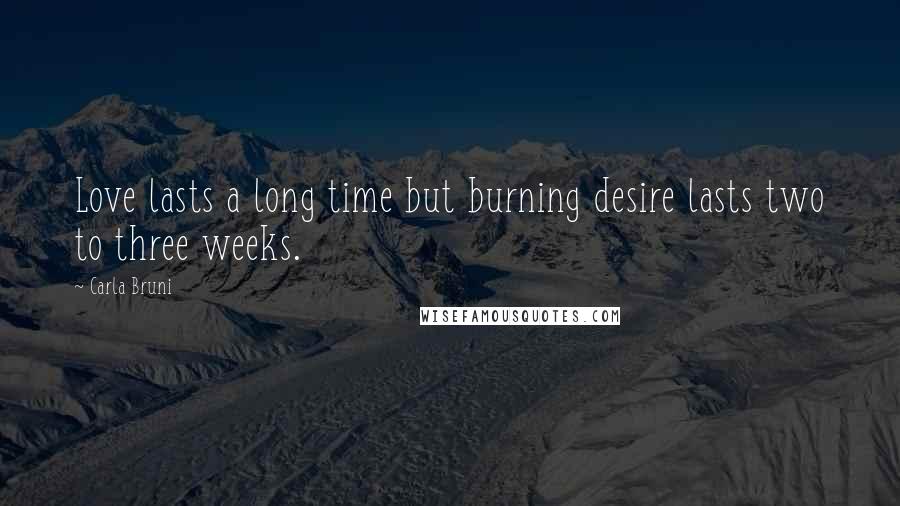 Carla Bruni Quotes: Love lasts a long time but burning desire lasts two to three weeks.