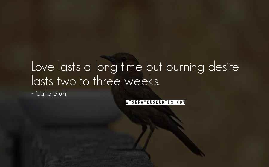 Carla Bruni Quotes: Love lasts a long time but burning desire lasts two to three weeks.