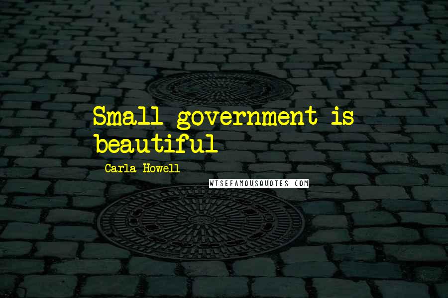 Carla Howell Quotes: Small government is beautiful