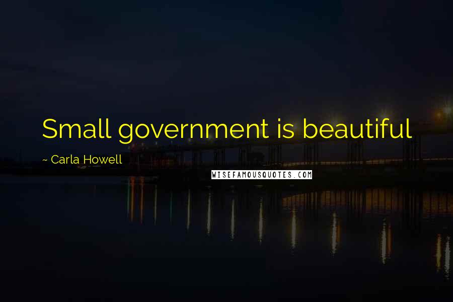 Carla Howell Quotes: Small government is beautiful