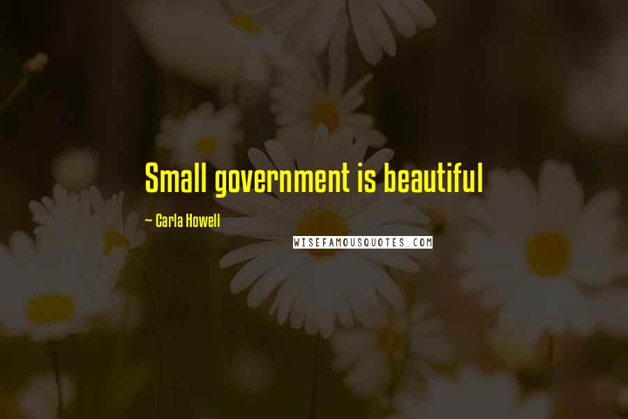 Carla Howell Quotes: Small government is beautiful