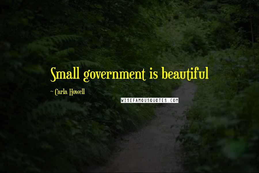 Carla Howell Quotes: Small government is beautiful