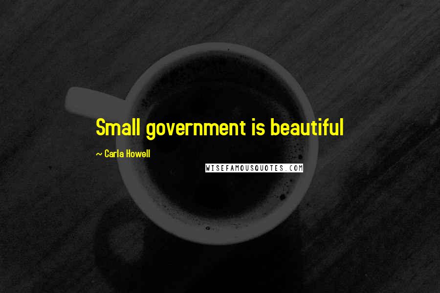 Carla Howell Quotes: Small government is beautiful