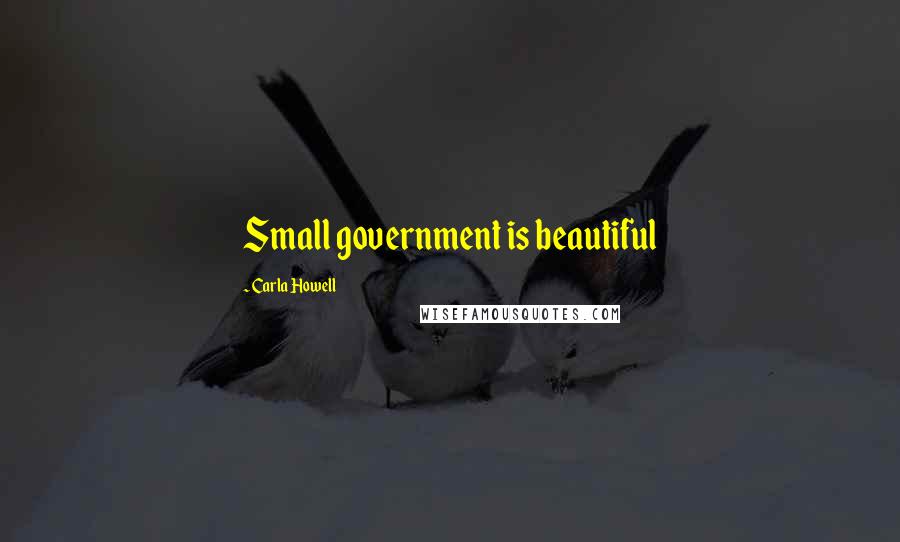 Carla Howell Quotes: Small government is beautiful