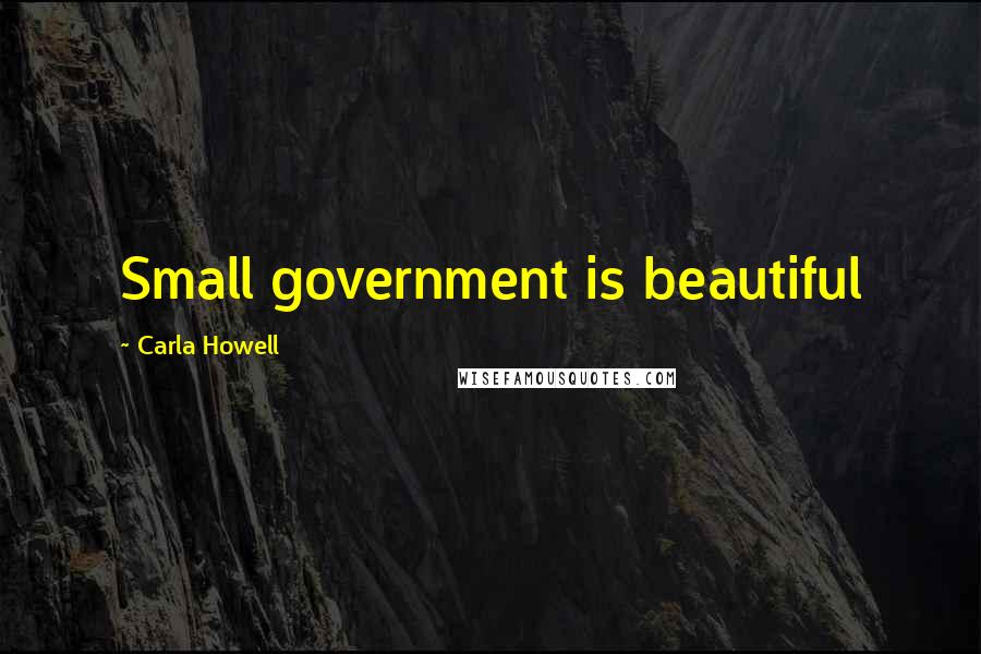 Carla Howell Quotes: Small government is beautiful