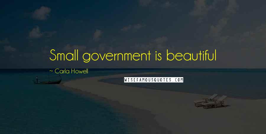 Carla Howell Quotes: Small government is beautiful