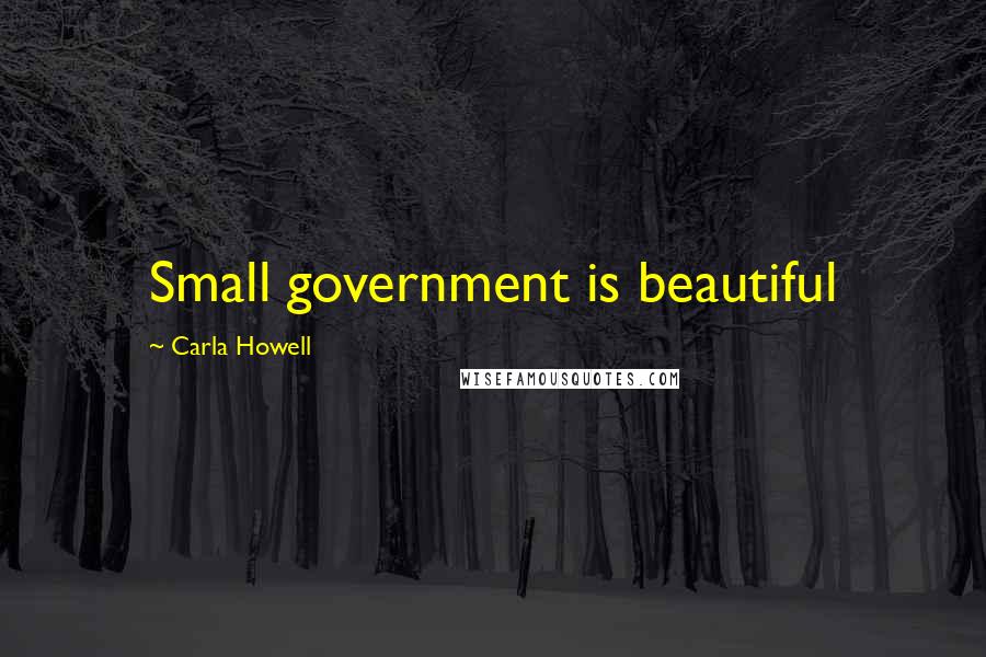 Carla Howell Quotes: Small government is beautiful