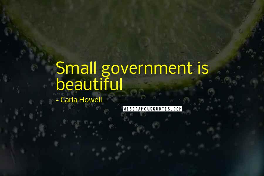 Carla Howell Quotes: Small government is beautiful