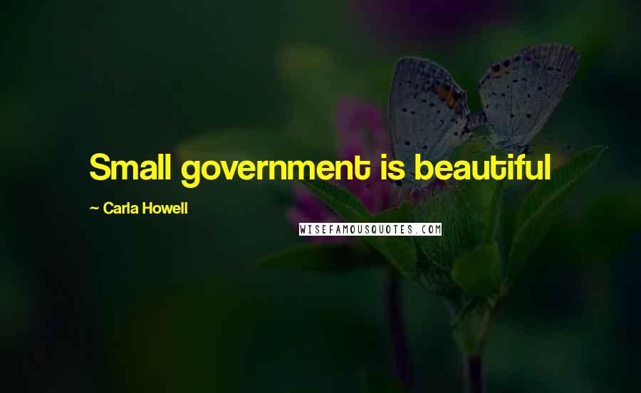 Carla Howell Quotes: Small government is beautiful