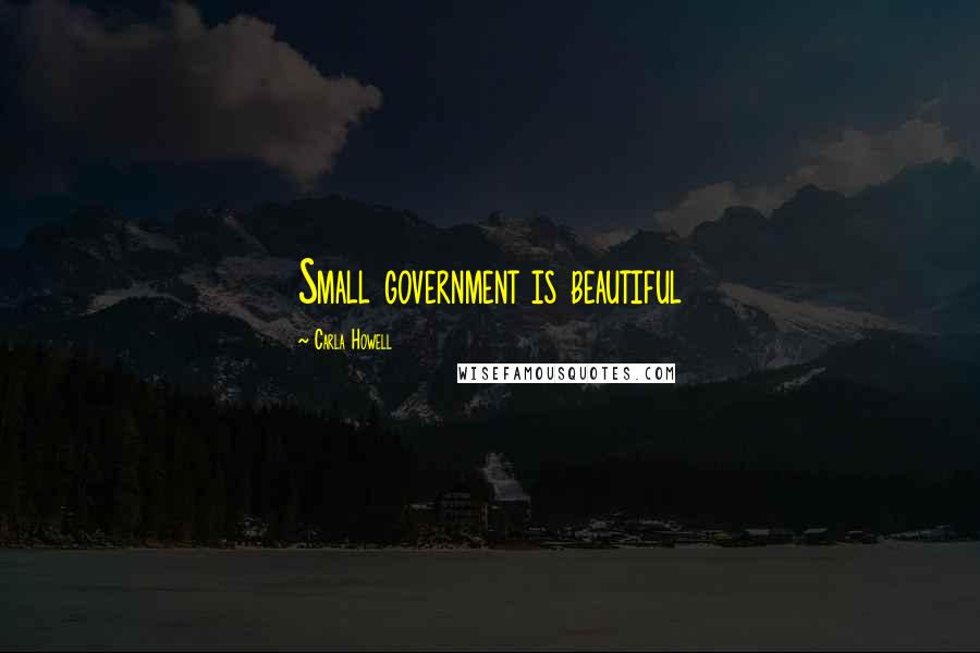 Carla Howell Quotes: Small government is beautiful