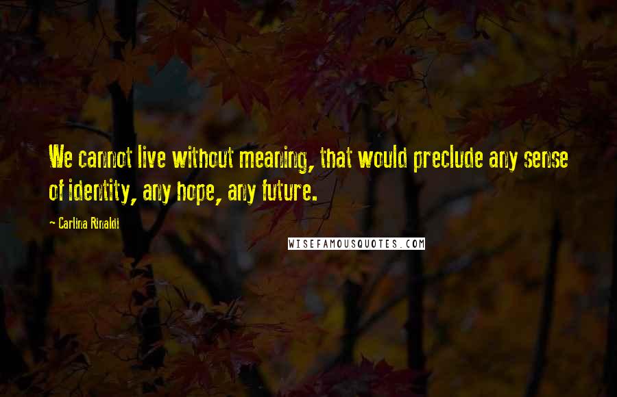 Carlina Rinaldi Quotes: We cannot live without meaning, that would preclude any sense of identity, any hope, any future.