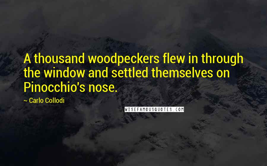 Carlo Collodi Quotes: A thousand woodpeckers flew in through the window and settled themselves on Pinocchio's nose.