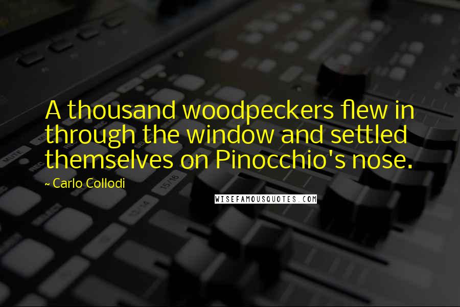 Carlo Collodi Quotes: A thousand woodpeckers flew in through the window and settled themselves on Pinocchio's nose.