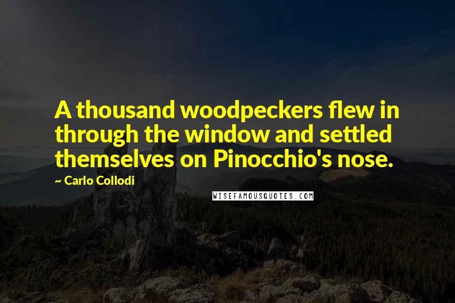 Carlo Collodi Quotes: A thousand woodpeckers flew in through the window and settled themselves on Pinocchio's nose.