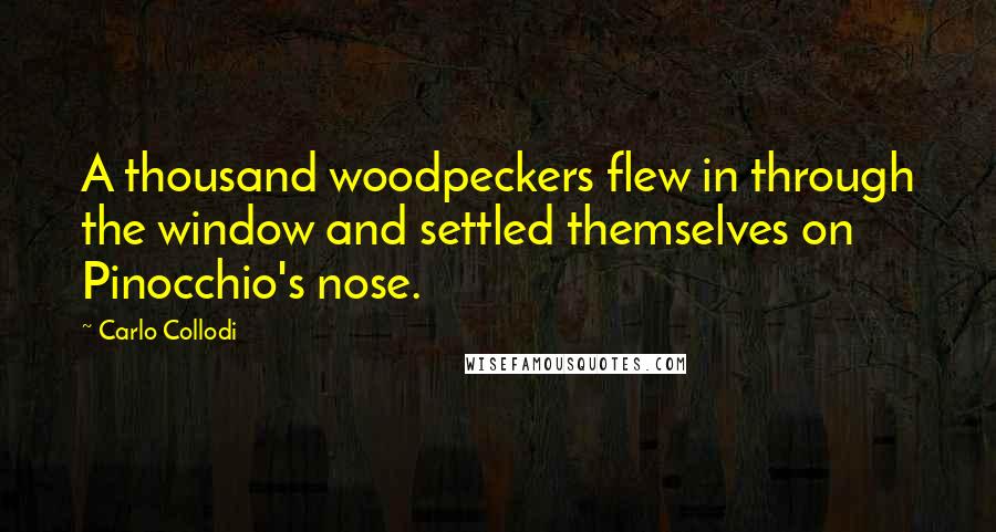 Carlo Collodi Quotes: A thousand woodpeckers flew in through the window and settled themselves on Pinocchio's nose.