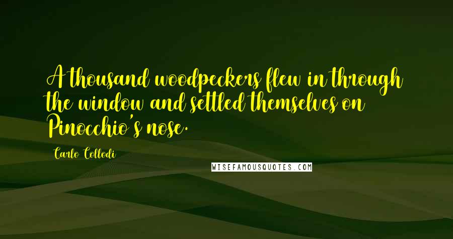 Carlo Collodi Quotes: A thousand woodpeckers flew in through the window and settled themselves on Pinocchio's nose.