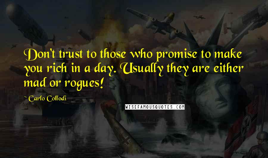 Carlo Collodi Quotes: Don't trust to those who promise to make you rich in a day. Usually they are either mad or rogues!