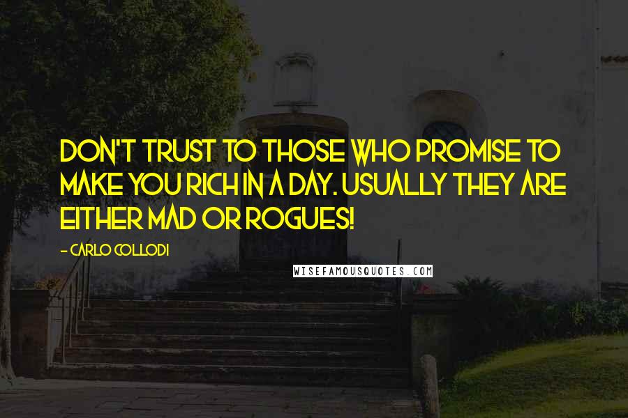 Carlo Collodi Quotes: Don't trust to those who promise to make you rich in a day. Usually they are either mad or rogues!