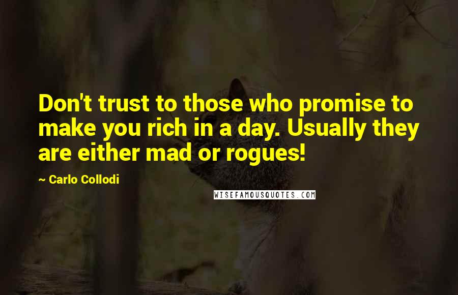 Carlo Collodi Quotes: Don't trust to those who promise to make you rich in a day. Usually they are either mad or rogues!