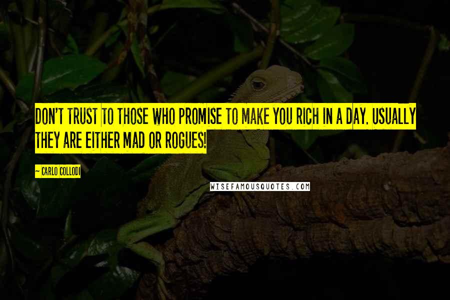 Carlo Collodi Quotes: Don't trust to those who promise to make you rich in a day. Usually they are either mad or rogues!