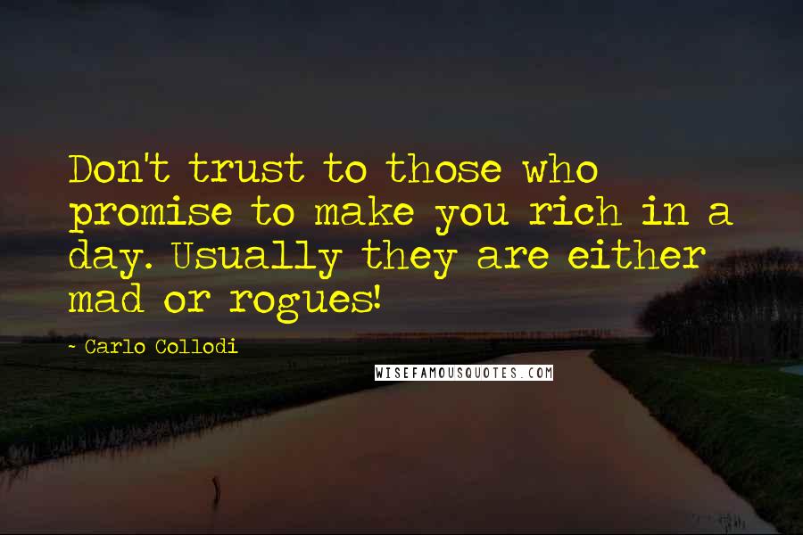 Carlo Collodi Quotes: Don't trust to those who promise to make you rich in a day. Usually they are either mad or rogues!