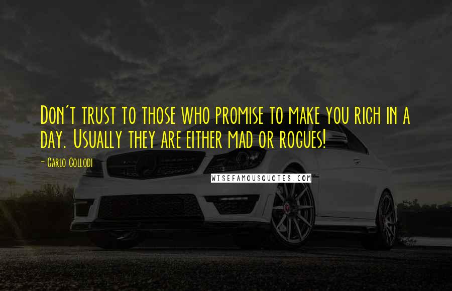 Carlo Collodi Quotes: Don't trust to those who promise to make you rich in a day. Usually they are either mad or rogues!