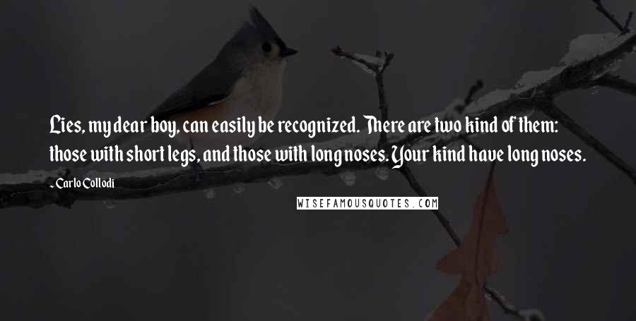 Carlo Collodi Quotes: Lies, my dear boy, can easily be recognized. There are two kind of them: those with short legs, and those with long noses. Your kind have long noses.