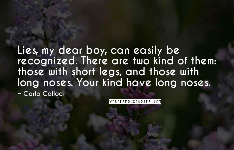 Carlo Collodi Quotes: Lies, my dear boy, can easily be recognized. There are two kind of them: those with short legs, and those with long noses. Your kind have long noses.