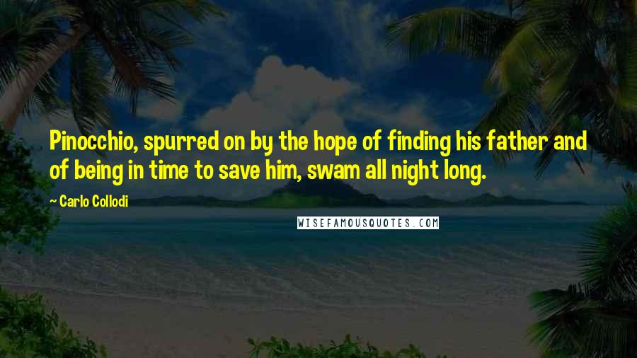 Carlo Collodi Quotes: Pinocchio, spurred on by the hope of finding his father and of being in time to save him, swam all night long.