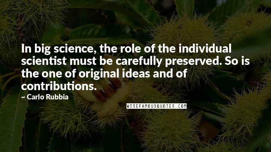 Carlo Rubbia Quotes: In big science, the role of the individual scientist must be carefully preserved. So is the one of original ideas and of contributions.