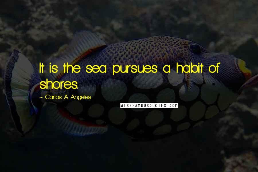 Carlos A. Angeles Quotes: It is the sea pursues a habit of shores.
