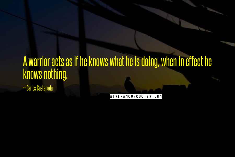 Carlos Castaneda Quotes: A warrior acts as if he knows what he is doing, when in effect he knows nothing.