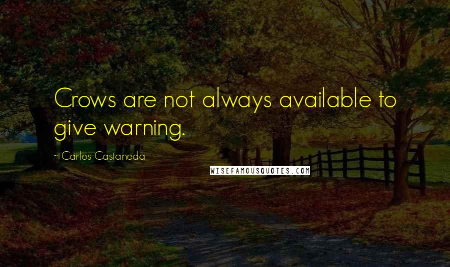 Carlos Castaneda Quotes: Crows are not always available to give warning.