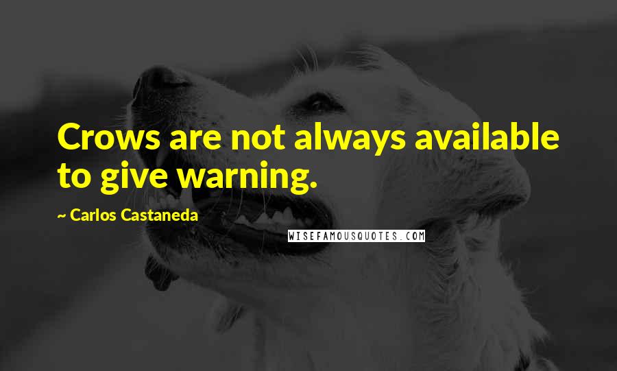 Carlos Castaneda Quotes: Crows are not always available to give warning.