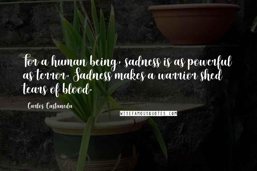 Carlos Castaneda Quotes: For a human being, sadness is as powerful as terror. Sadness makes a warrior shed tears of blood.