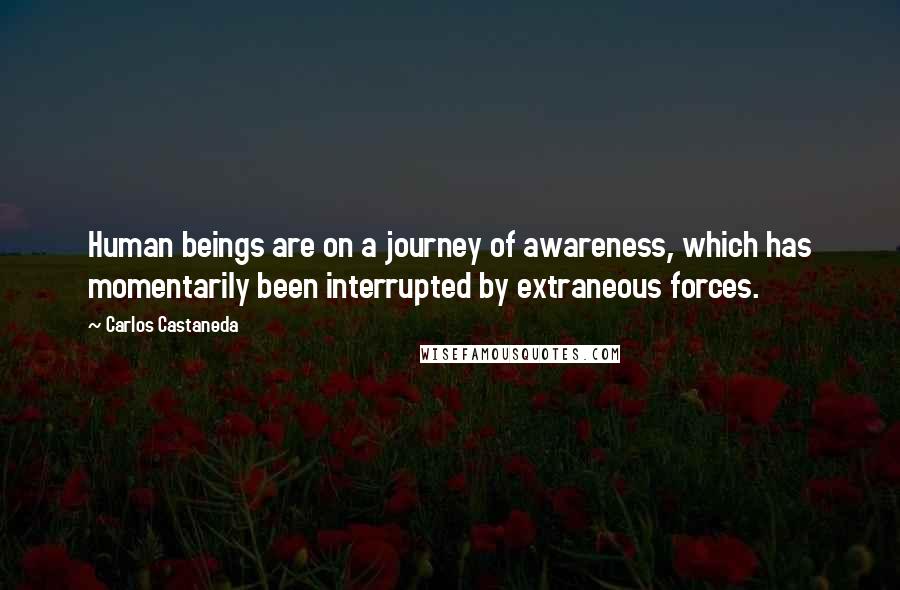 Carlos Castaneda Quotes: Human beings are on a journey of awareness, which has momentarily been interrupted by extraneous forces.