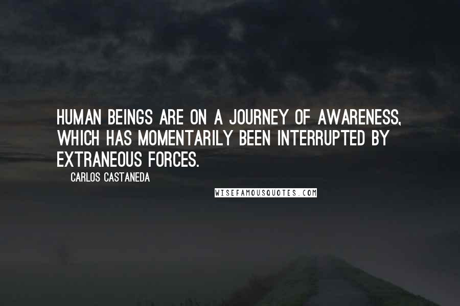Carlos Castaneda Quotes: Human beings are on a journey of awareness, which has momentarily been interrupted by extraneous forces.