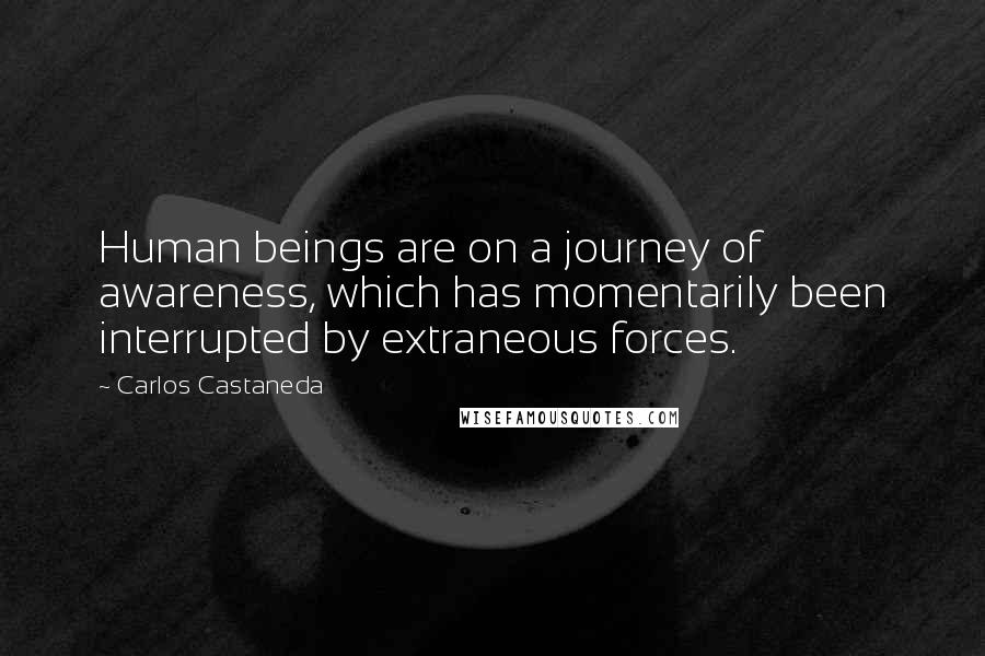 Carlos Castaneda Quotes: Human beings are on a journey of awareness, which has momentarily been interrupted by extraneous forces.