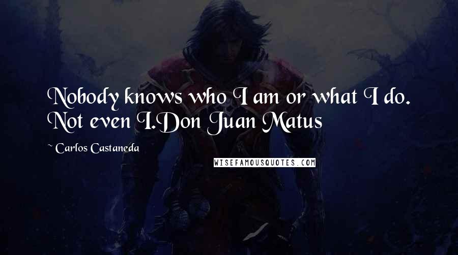 Carlos Castaneda Quotes: Nobody knows who I am or what I do. Not even I.Don Juan Matus