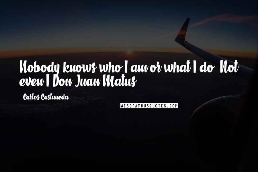 Carlos Castaneda Quotes: Nobody knows who I am or what I do. Not even I.Don Juan Matus