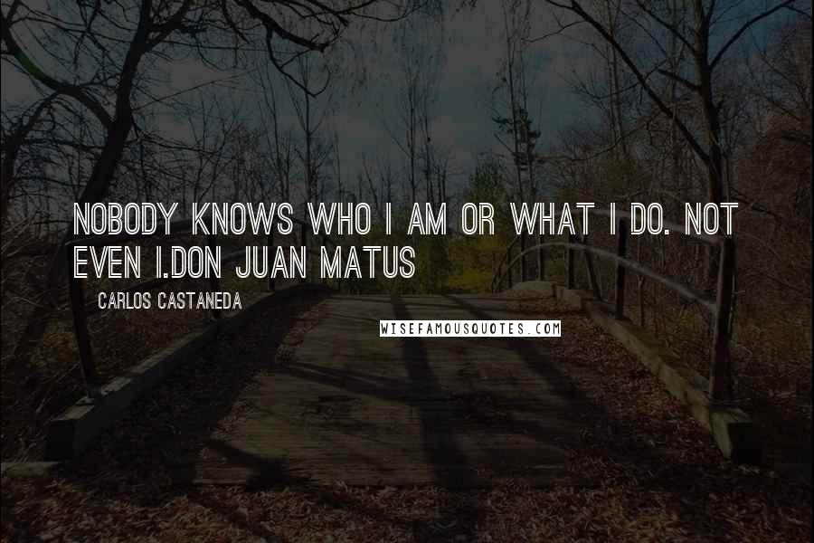 Carlos Castaneda Quotes: Nobody knows who I am or what I do. Not even I.Don Juan Matus