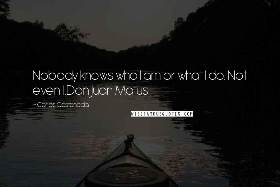 Carlos Castaneda Quotes: Nobody knows who I am or what I do. Not even I.Don Juan Matus