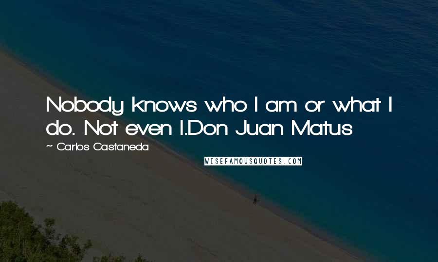 Carlos Castaneda Quotes: Nobody knows who I am or what I do. Not even I.Don Juan Matus