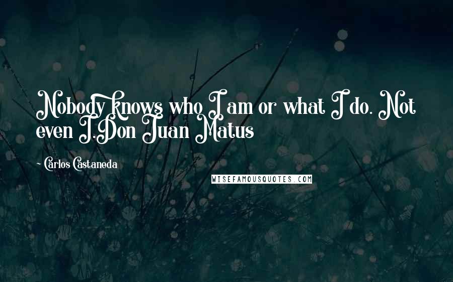 Carlos Castaneda Quotes: Nobody knows who I am or what I do. Not even I.Don Juan Matus